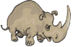 Gif animé rhinocéros menace